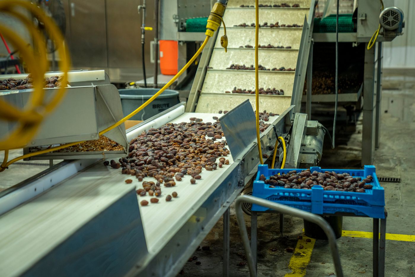Convoyeur de production agroalimentaire