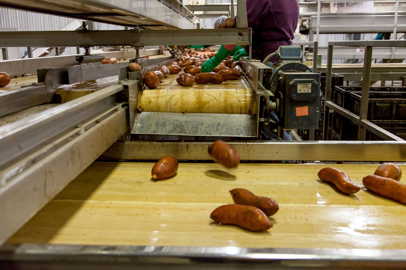Ligne de conditionnement de produits